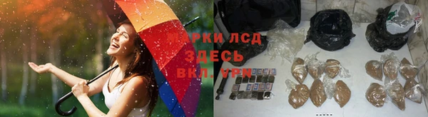 мет Алексин