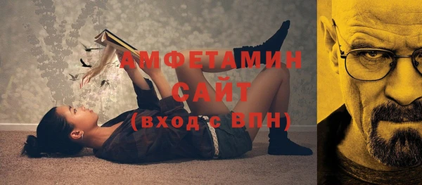 мет Алексин